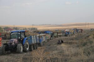MUŞ (AA) – Muş'un Malazgirt ilçesinde devam eden şeker pancarı