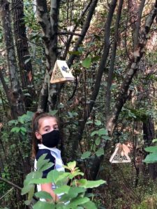 MUĞLA (AA) – Muğla'nın Marmaris ilçesinde ortaokul öğrencilerinin doğal ahşaptan