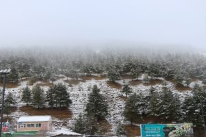 ERZURUM (AA) – Türkiye'nin önemli kış turizm merkezlerinden Erzurum'daki Palandöken,