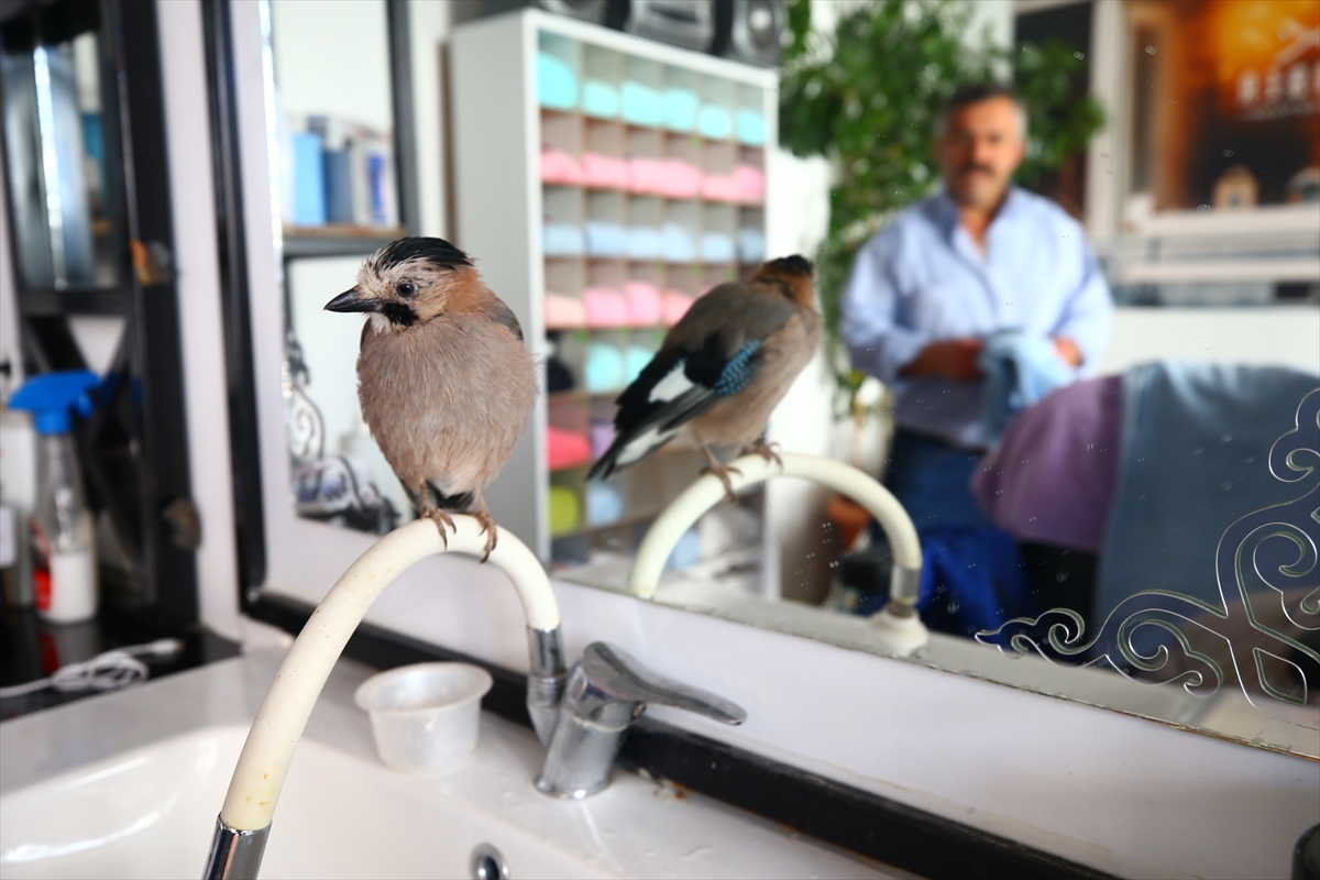 Sahiplendiği karga yavrusu “Şakir” ile dostluğu görenleri şaşırtıyor