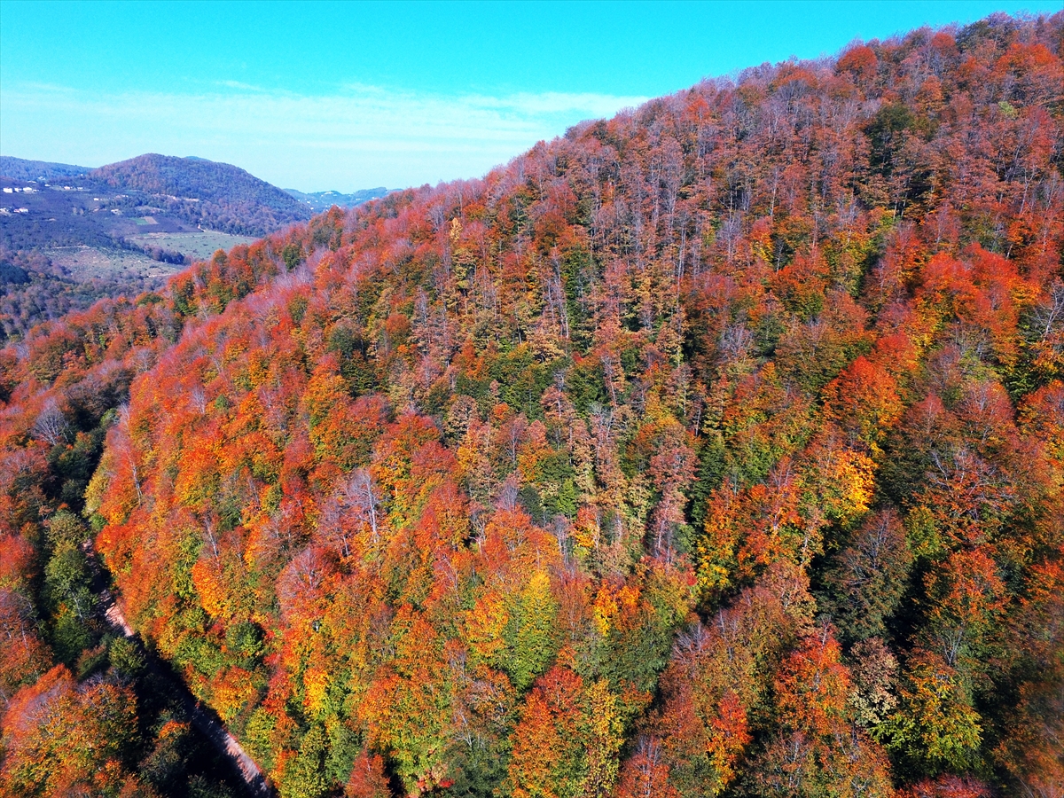 Samsun'daki Nebiyan Dağı sonbahar renklerine büründü