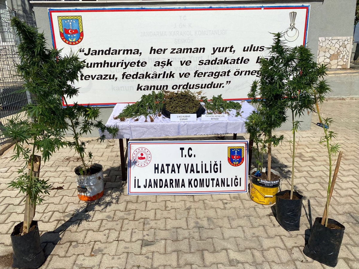 Sigara kaçakçılığı operasyonunda yakalanan 3 zanlıdan 1'i tutuklandı