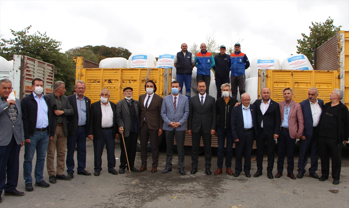 Silivri Belediyesi besicilere ücretsiz mısır silajı dağıttı