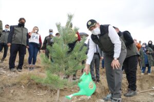 SİVAS (AA) – Sivas'ta "İki Fidan Birlikte Büyüyor" projesi kapsamında,