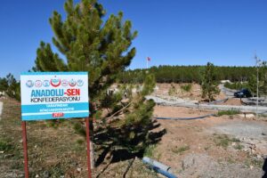 SİVAS (AA) – Türkiye'nin birçok yerinde, yaz aylarında çıkan orman