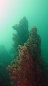 BİTLİS (AA) – Türkiye'nin en büyük tuzlu ve sodalı gölü