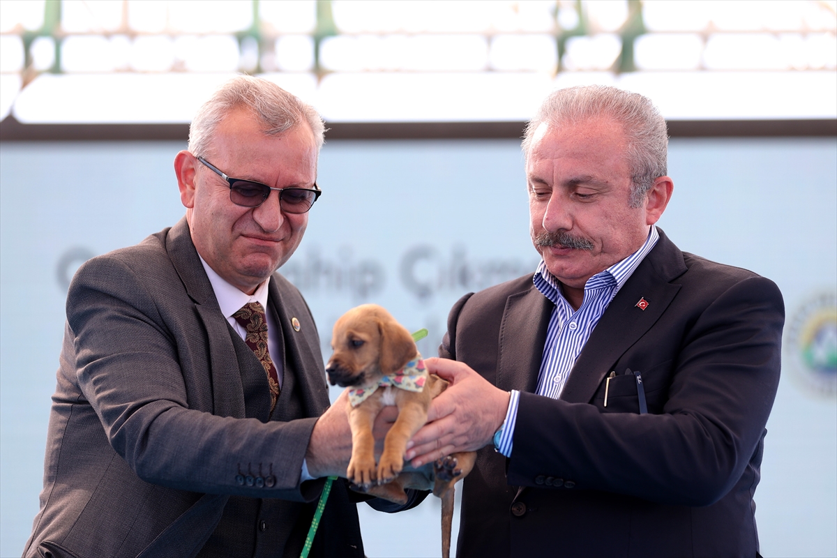 TBMM Başkanı Şentop’a sokak köpeği armağan edildi