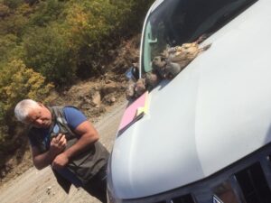 TUNCELİ (AA) – Tunceli'de kaçak keklik avladıkları tespit edilen 9