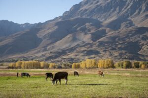 TUNCELİ (AA) – Doğal ve tarihi güzellikleriyle öne çıkan Tunceli'nin