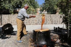 VAN (AA) – Van'ın Erciş ilçesinde bağcılık kültürünü yaşatan üreticiler,