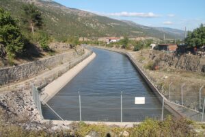 AMASYA (AA) – Yeşilırmak'ın Amasya'dan geçen bölümünde balık ölümleri yaşanıyor.