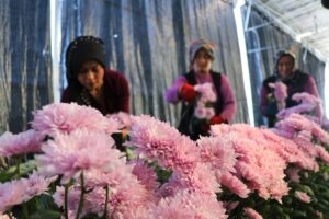 BURDUR (AA) – BİLAL ALTIOK/HÜSEYİN ÇUBUK – Yıllardır hayalini kurduğu