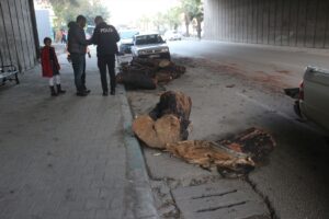 ADANA (AA) – Adana'nın Sarıçam ilçesinde bir kamyondan yola düşen