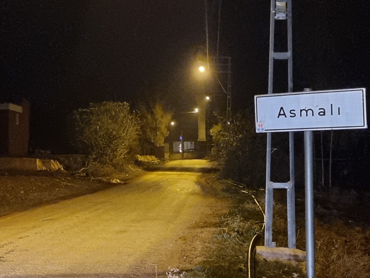 Adana'da iki mahallede “mavi dil hastalığı” nedeniyle karantina uygulandı