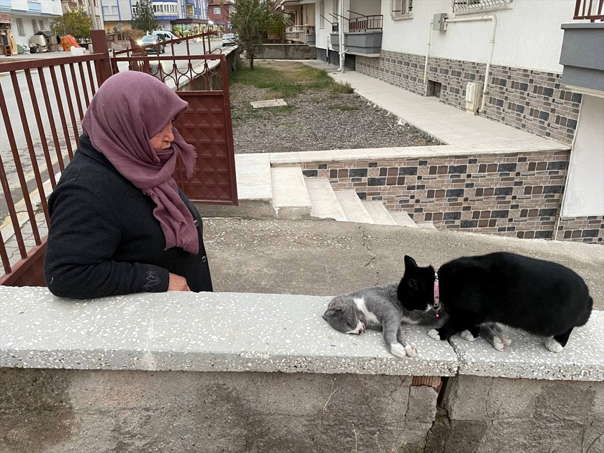 Aksaray'da otomobilin çarptığı kedisinin öldüğünü gören kadın gözyaşı döktü