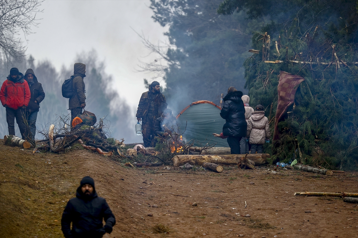 Anadolu Ajansı, göçmen krizinin yaşandığı Belarus-Polonya sınırında