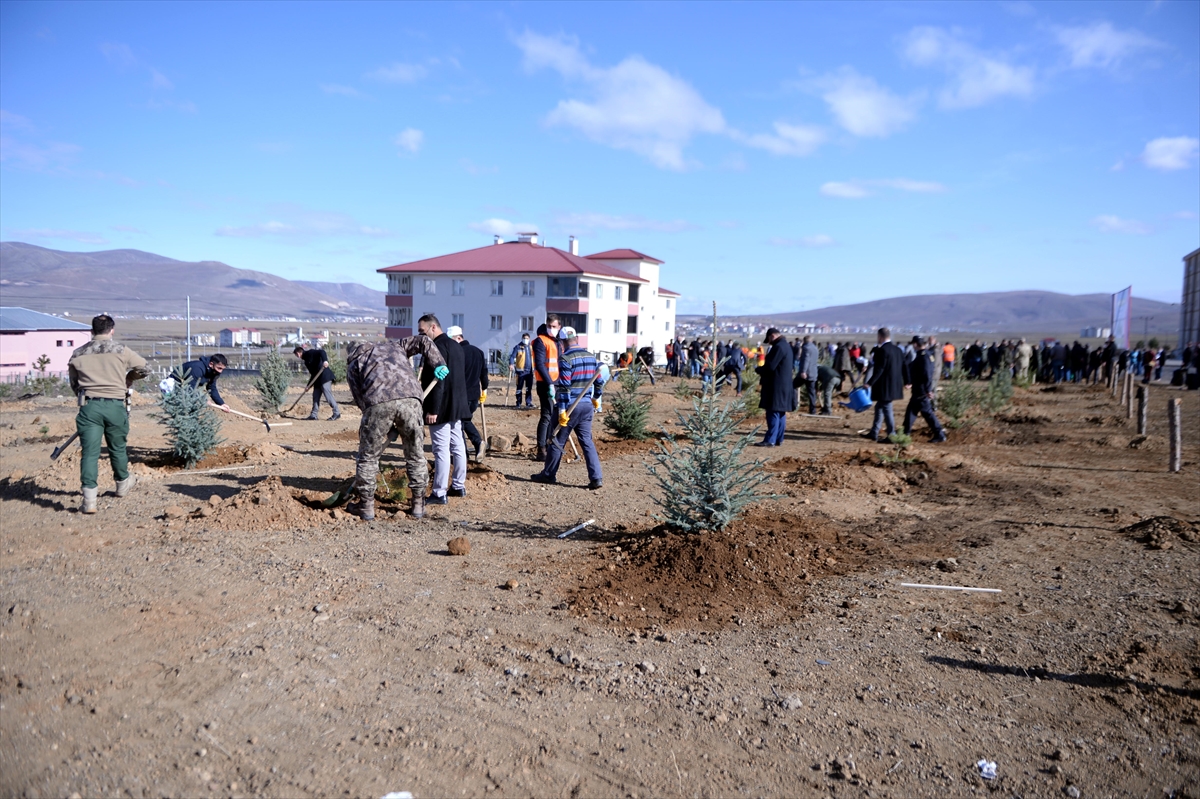 Erzurum, Erzincan, Ardahan ve Iğdır'da fidanlar toprakla buluşturuldu