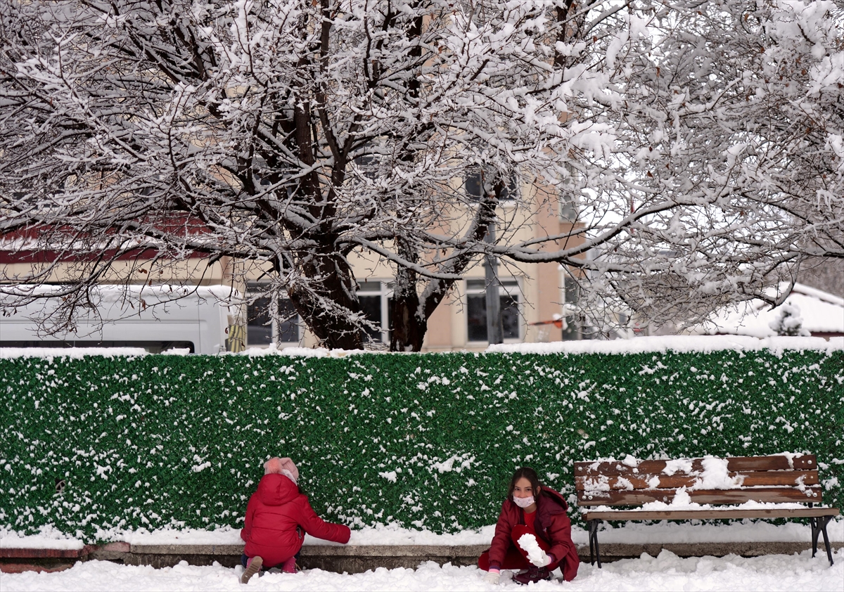 Erzurum, Kars ve Ardahan'da kar yağışı etkili oldu