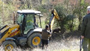 BARTIN (AA) – Bartın'ın Ulus ilçesinde, kapana yakalanan bozayı, Doğa