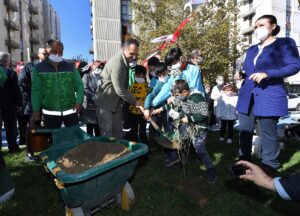 - Belediye tarafından 11 Kasım Milli Ağaçlandırma Günü dolayısıyla ilçede