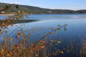 BOLU (AA) – Bolu'da doğası ve gölleriyle büyük ilgi gören