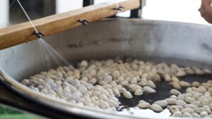 BURSA (AA) – Hanlar Bölgesi, Sultan Külliyeleri ve Cumalıkızık ile