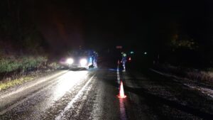 KÜTAHYA (AA) – Kütahya'nın Domaniç ile Bursa'nın İnegöl ilçeleri arasındaki