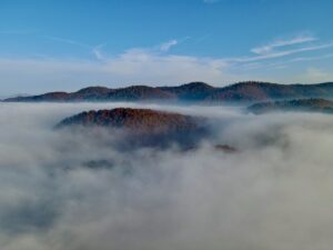 SAKARYA (AA) – Sakarya'nın Kocaali ve Hendek ilçeleri arasında bulunan