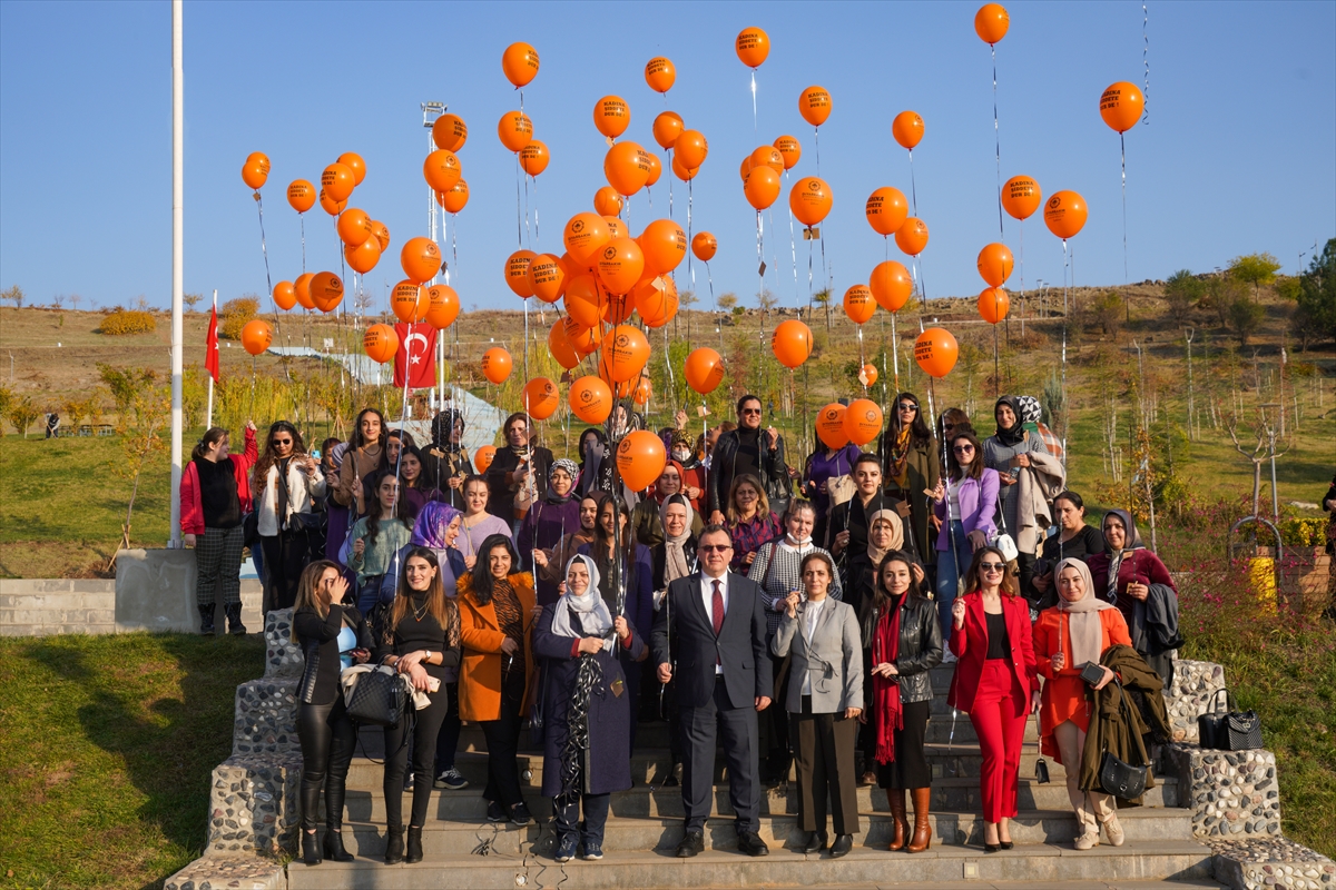 Diyarbakır'da kadınlar şiddete karşı turuncu balon uçurdu