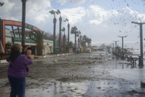 BALIKESİR (AA) – Balıkesir'in Edremit ve Burhaniye ilçesindeki belediye ekipleri,