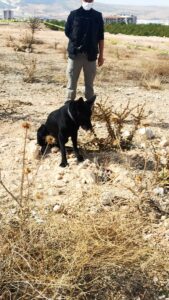 GAZİANTEP (AA) – Gaziantep'te, terör örgütlerine ait olduğu değerlendirilen toprağa