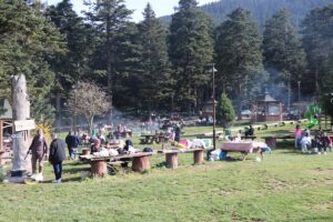 BOLU (AA) – Bolu'nun doğal güzellikleriyle ünlü Gölcük Tabiat Parkı'nda,