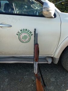 HATAY (AA) – Hatay'ın Arsuz ilçesinde koruma altındaki yaban hayvanlarından