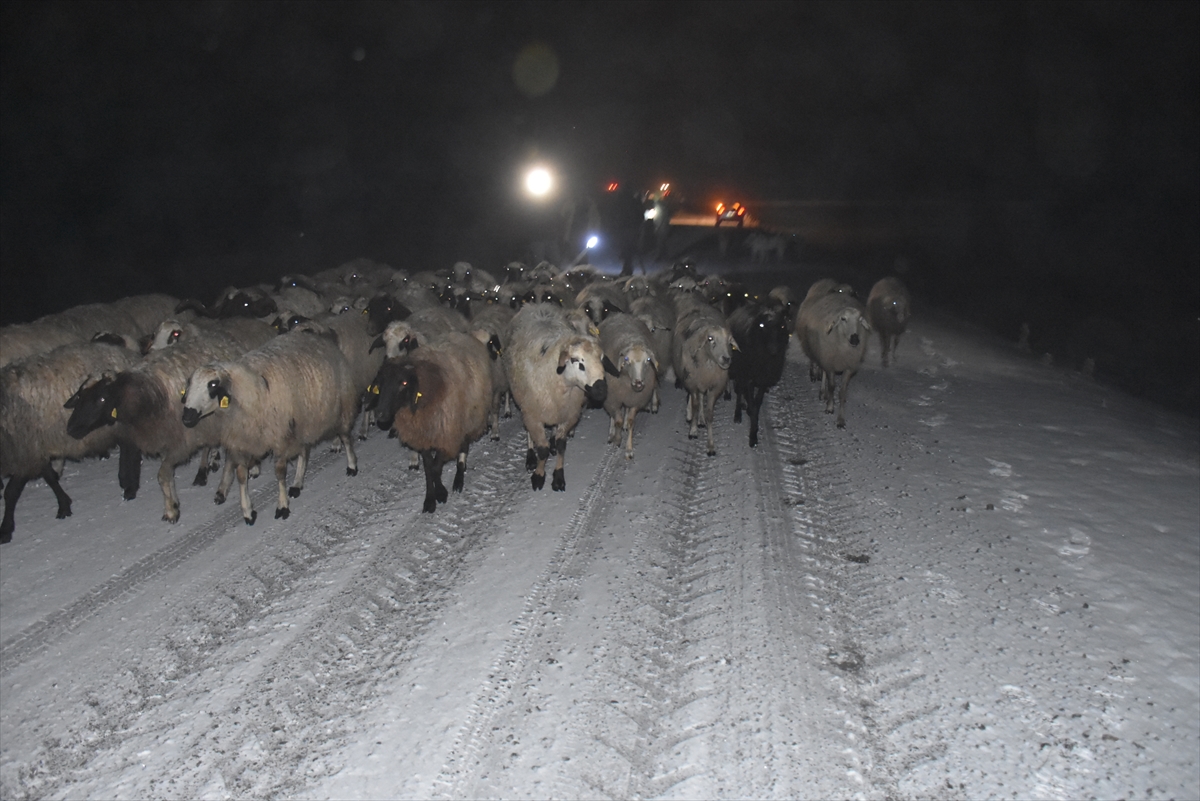 Kar ve sis nedeniyle Yahni Dağı'nda koyunlarıyla mahsur kalan çoban kurtarıldı