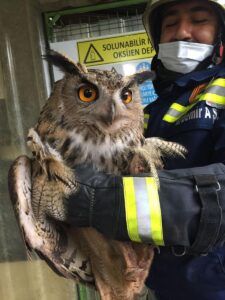 KARABÜK (AA) – Karabük Demir ve Çelik Fabrikası'nda (KARDEMİR) yaralı