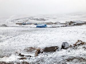 KARS (AA) – Kars'ta yüksek kesimlerde etkili olan kar yağışıyla