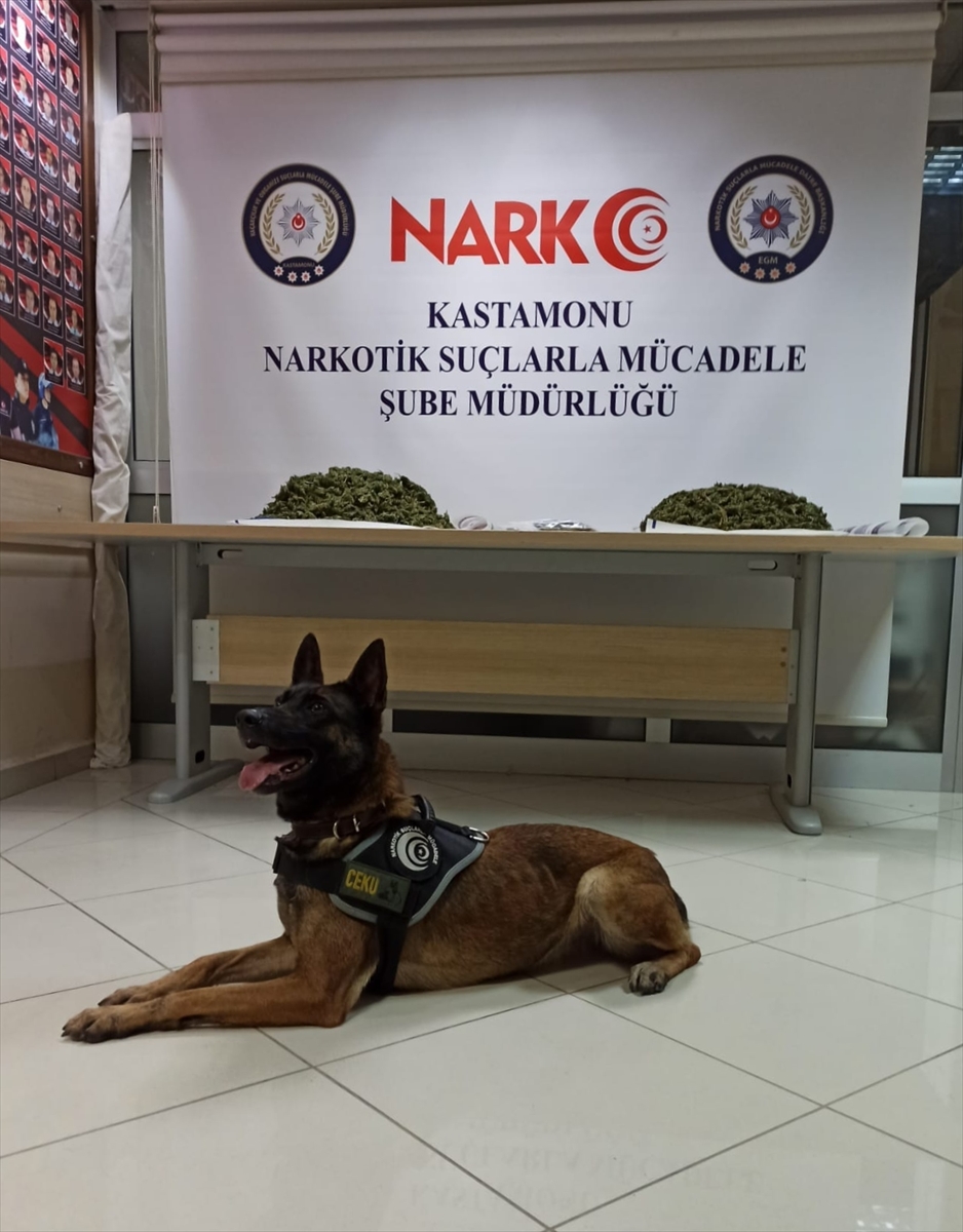 Kastamonu'da 4 kilo 154 gram esrarla yakalanan kişi tutuklandı