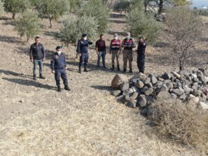 KİLİS (AA) – Kilis'te jandarma ekipleri, bir küçükbaş hayvan sürüsüne