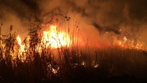KONYA (AA) – Konya'nın Kulu ilçesinde sazlık alanda çıkan yangın,