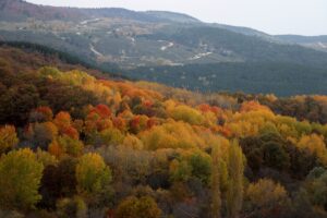 Kütahya’daki 1950 rakımlı Boyalı Dağı, sonbahar mevsiminin renkleriyle görsel şölen