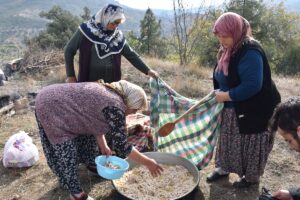 BİLECİK (AA) – Bilecik'in İnhisar ilçesine bağlı Tarpak köyünde yaşayanlar,