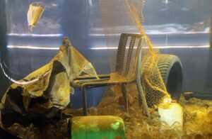 İSTANBUL (AA) – BERK ÖZKAN – İstanbul Akvaryum, çevre temizliği