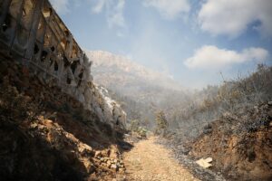 MERSİN (AA) – Mersin'in Bozyazı ilçesinde çıkan orman yangınına havadan