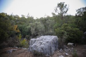 - Bir kayada bulunan kan izinden örnek alındığı ve inceleme