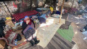 MERSİN (AA) – Mersin'in Gülnar ilçesinde 10 Kasım'da ailesinin kırsal