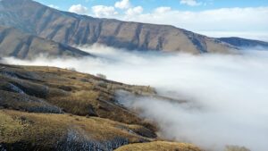 MUŞ (AA) – Muş'ta etkili olan kar ve sis nedeniyle