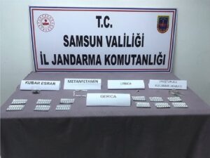 SAMSUN (AA) – Samsun'daki uyuşturucu operasyonlarında 22 zanlı gözaltına alındı.