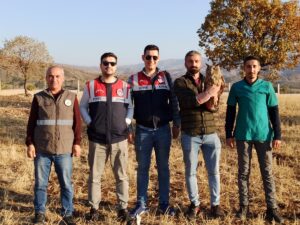 ŞIRNAK (AA) – Şırnak'ın İdil ilçesinde vatandaşlar tarafından arazide bitkin