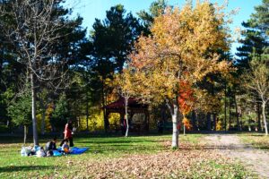 SİVAS (AA) – Sivas'ta "Yüzüklerin Efendisi" filminden esinlenerek inşa edilen