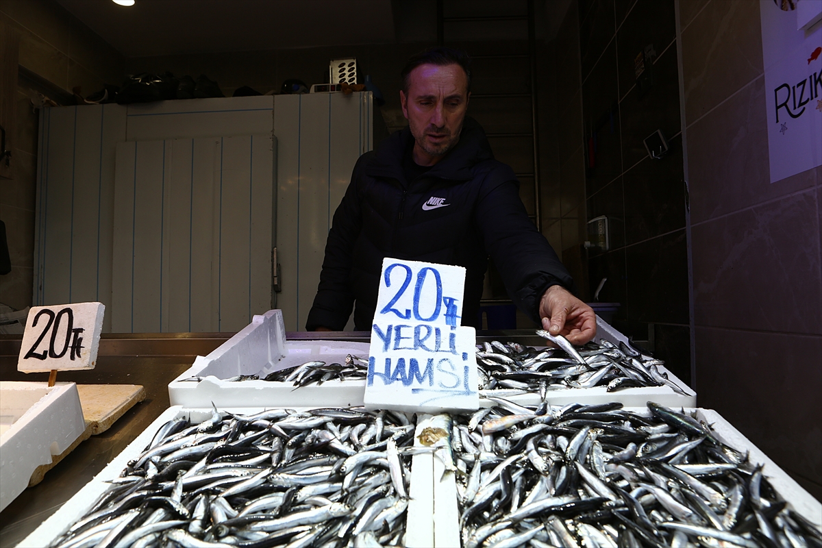 Trabzon'da tezgahlarda hamsinin kilosu 12,5 ila 20 liradan satılıyor